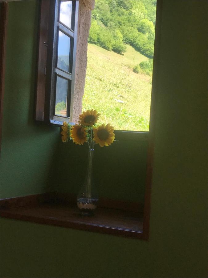 Apartamentos Rurales Xaranzana Las Morteras エクステリア 写真